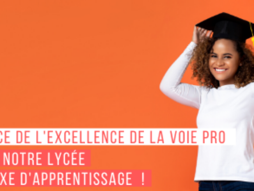 taxe apprentissage lycée léonard de vinci blanquefort