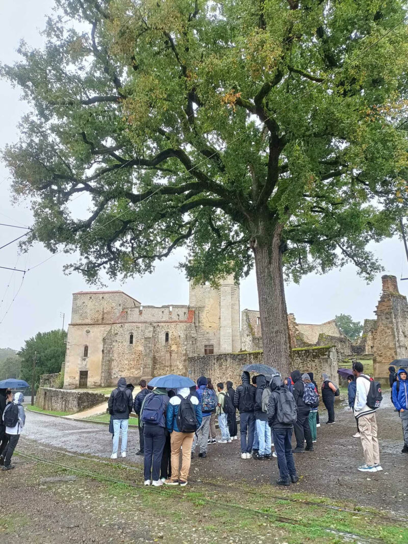 Le chêne et l'église Oradour Sur Glane